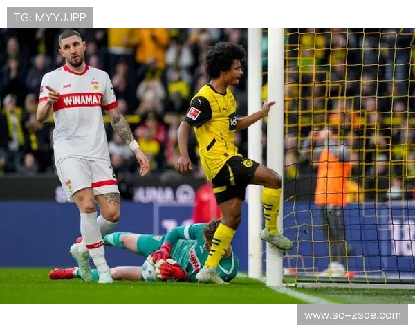 德甲黄黑荣耀 德甲黄黑荣耀