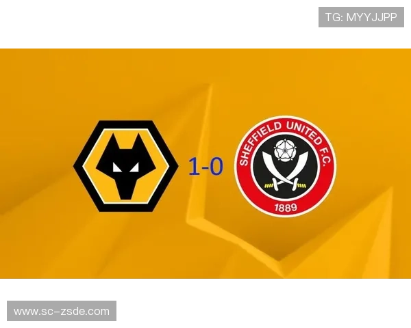 纽卡欧战经验不足问题,是否会对本赛季欧战成绩形成制约