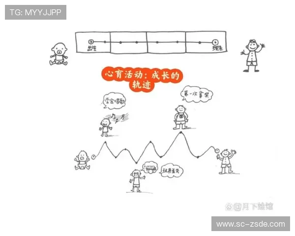 巴尔科拉状态稳定性与成长轨迹分析